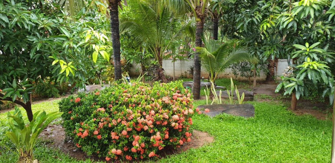Nuch'S Apple Guest House Si Bun Ruang Exterior foto