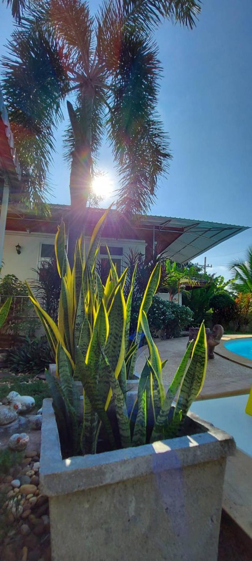 Nuch'S Apple Guest House Si Bun Ruang Exterior foto