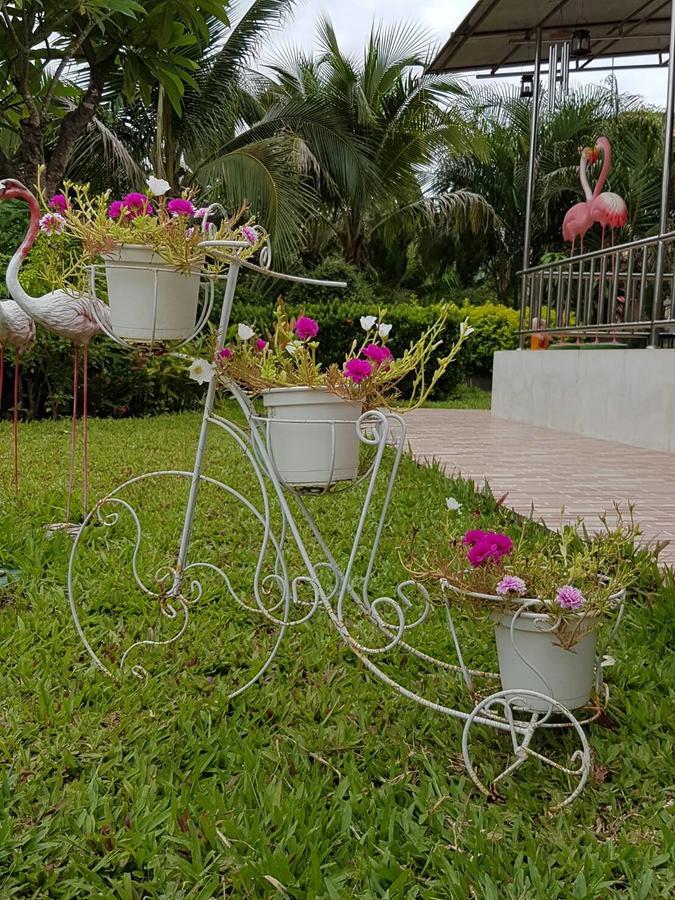 Nuch'S Apple Guest House Si Bun Ruang Exterior foto